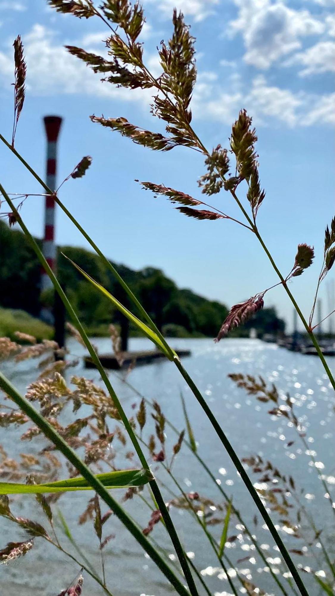 Fischerhaus Blankenese ハンブルク エクステリア 写真