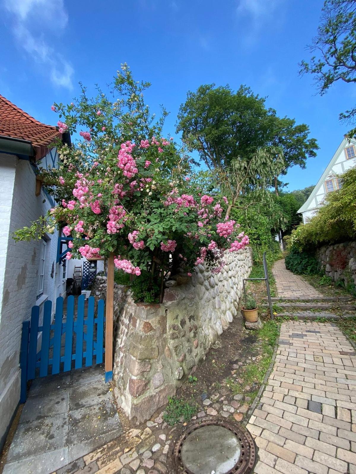 Fischerhaus Blankenese ハンブルク エクステリア 写真